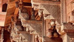 chaitanya-maheshwari-VyLn5XDaIP8-unsplash